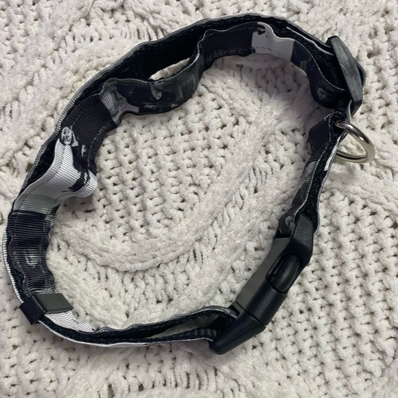 Scarface dog large collar pet movie gangster al Pacino breed pit bulldog poodle - Picture 3 of 4